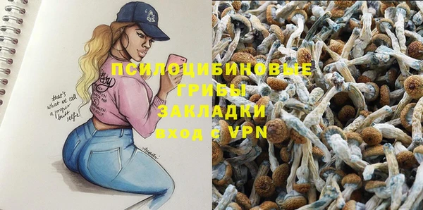 mdpv Вязьма
