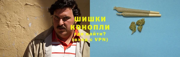 ALPHA-PVP Вяземский