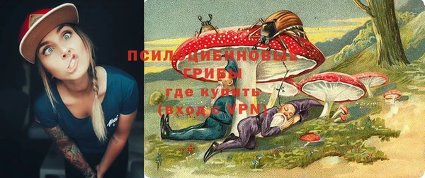 СК Вязники