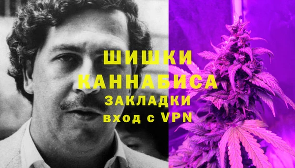 ALPHA-PVP Вяземский