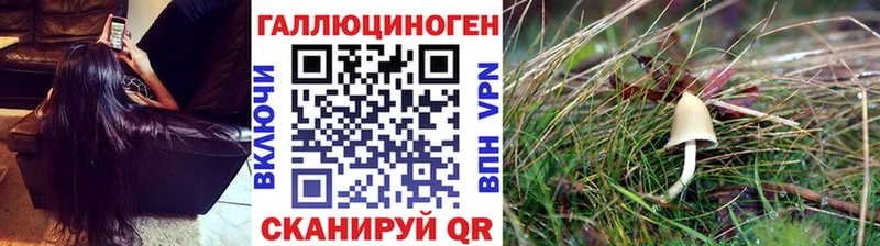 Галлюциногенные грибы GOLDEN TEACHER Злынка